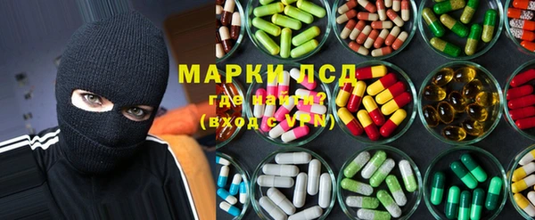 прущие грибы Алексеевка